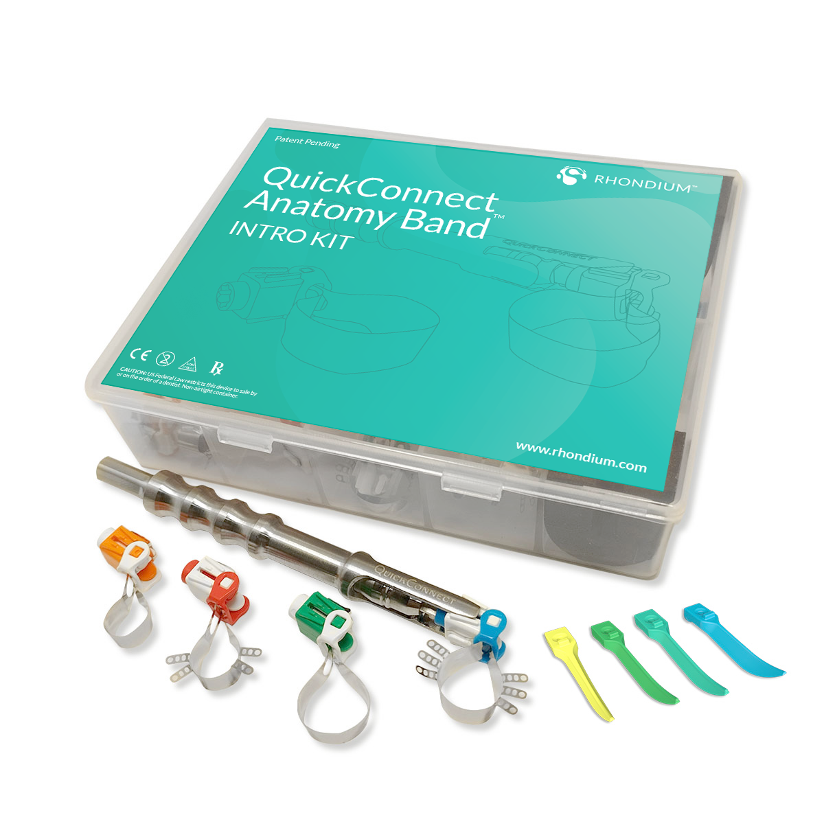 QuickConnect Anatomy Band Intro Kit - Image 2